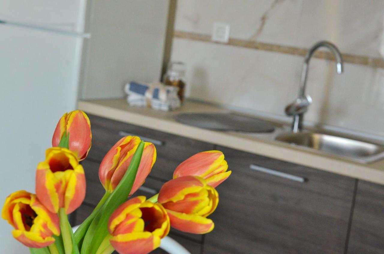 Apartmani Peric 1 Meka Draga Obrovac Exteriér fotografie