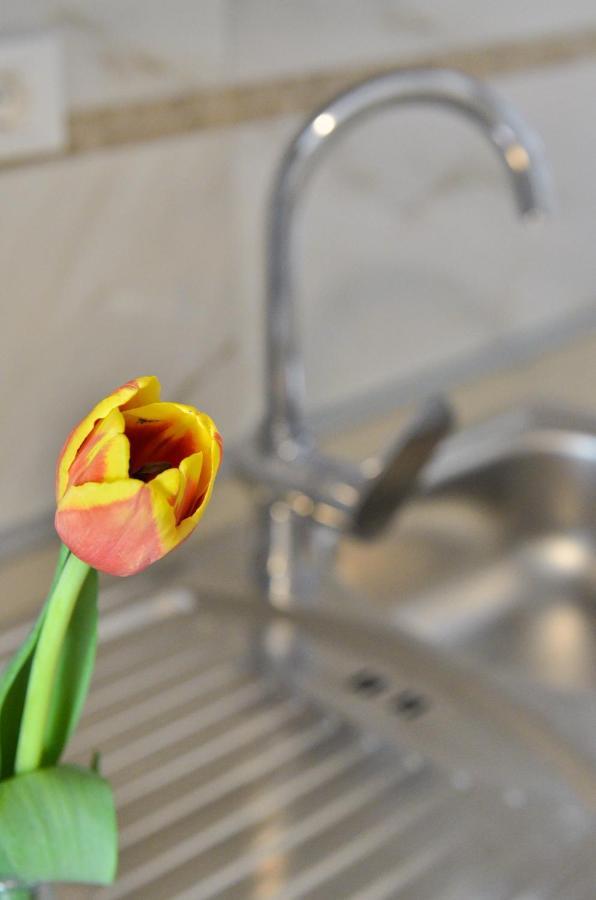 Apartmani Peric 1 Meka Draga Obrovac Exteriér fotografie